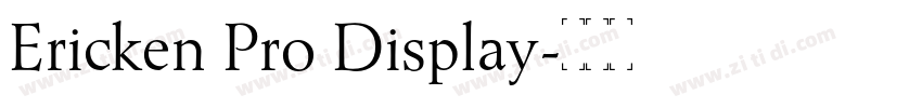 Ericken Pro Display字体转换